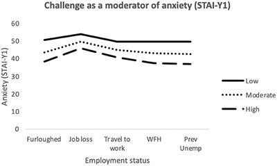 The Relationship Between Mental Toughness, Job Loss, and Mental Health Issues During the COVID-19 Pandemic